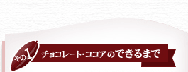 チョコレート・ココアのできるまで