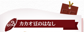 カカオ豆のはなし