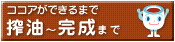 �R�R�A���ł���܂ō���`�����܂�