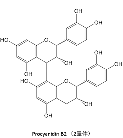 Procyanidin B2（2量体）